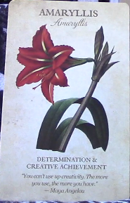 Botanical Inspirations Deck & Book Set